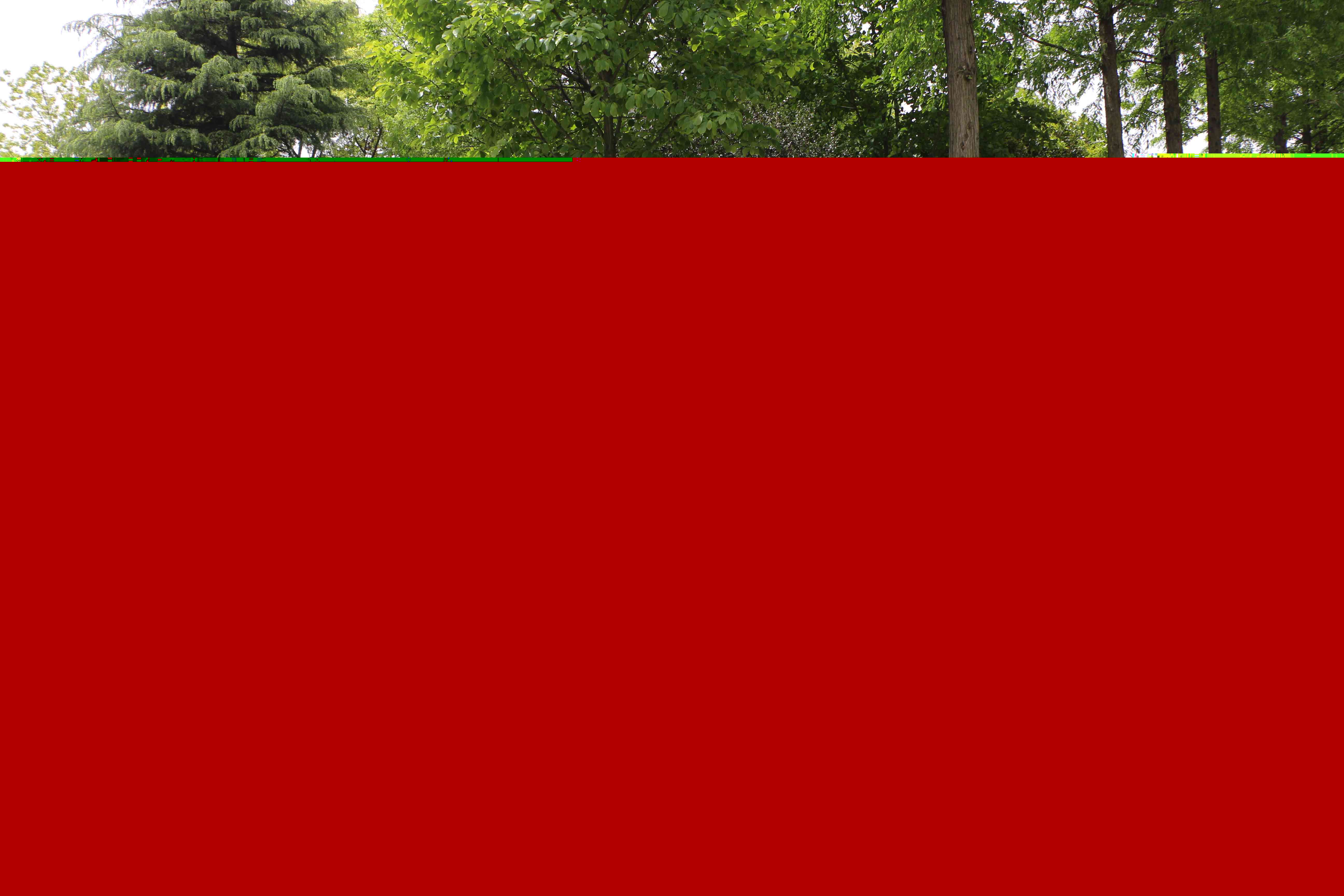 蔣巷一日拓展訓練(圖59)